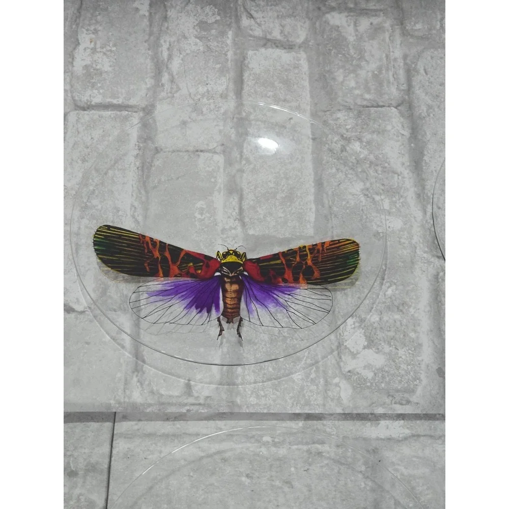 Hand painted‎ Signed Glass Salad Dessert Plates Reverse Floral Entomologist